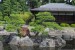 Kyoto castle - gardens 1